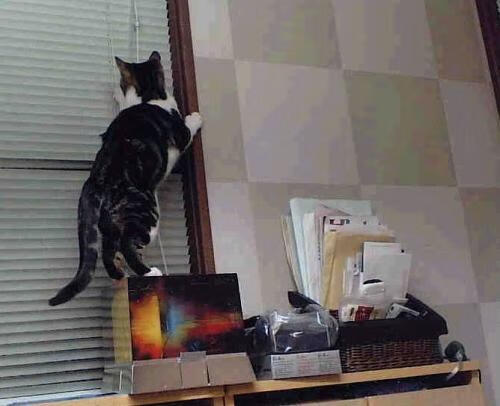 “雪域战神：北极圈极寒赛段的激情较量”，北极雪景