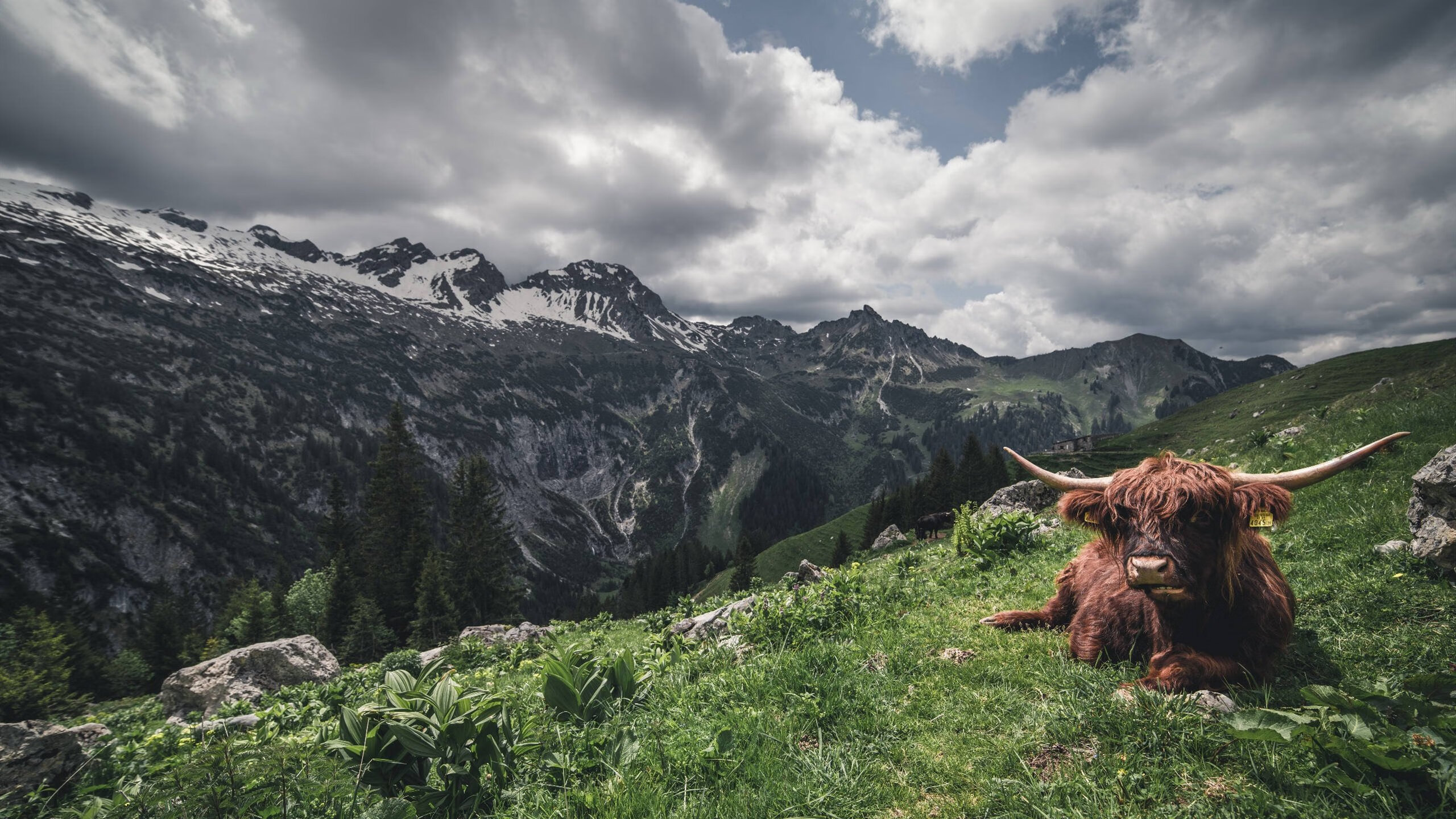 开云中国-克罗地亚骑手吉塔·日特科维奇在2024年国际马术联合会世界障碍赛中获得第八名，展现坚韧精神。